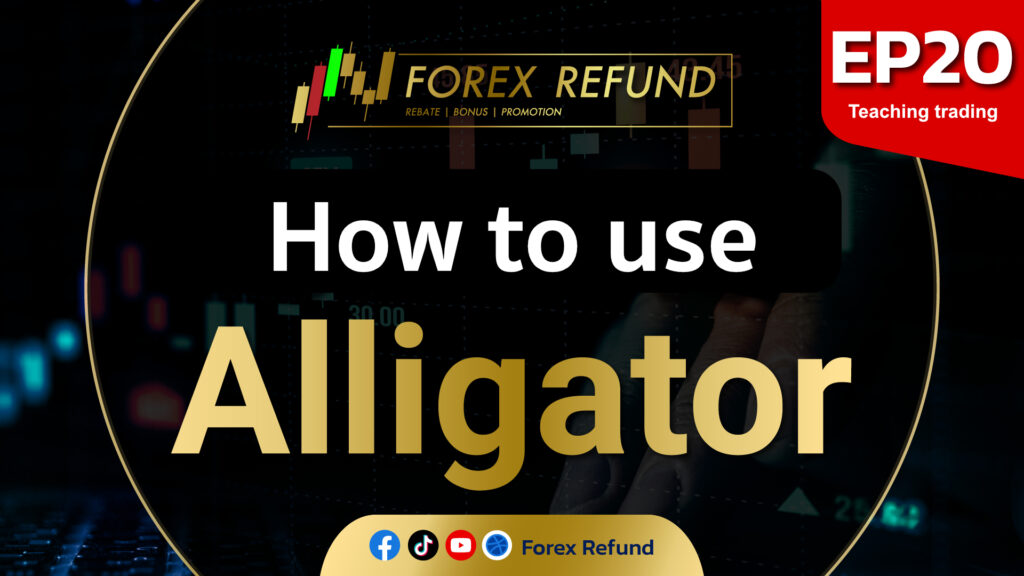 Alligator Eng