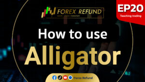 Alligator Eng