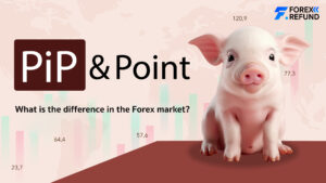 Pip point